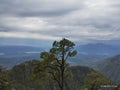 Panaromic view of nature