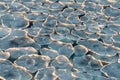 Pancake ice floes at sunset, Antarctica