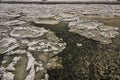 Pancake Ice in the Manistee River