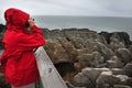 Pancake Rocks New Zealand Royalty Free Stock Photo