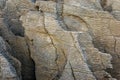 Pancake Rocks in Paparoa National Park, Punakaki rocks Royalty Free Stock Photo