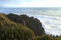 Pancake rocks in Punakaiki Royalty Free Stock Photo