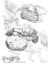 Pancake and syrup and steak with vegetable drawing