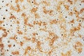 Pancake texture, baked pancake dough background. Close up