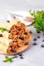 Pancakes with cottage cheese and fresh fruits Royalty Free Stock Photo