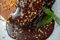 Pancakes covered with chocolate on a blue plate with a mint leaf Royalty Free Stock Photo