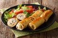 Pancakes stuffed with chicken and mushrooms and fresh vegetable