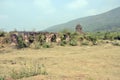 Panchakot temple old look