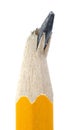 Pancil closeup Royalty Free Stock Photo
