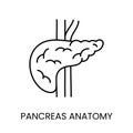 Pancreas anatomy line icon vector for diabetes education materials