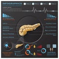 Pancreas Anatomy System Medical Infographic Infochart Royalty Free Stock Photo