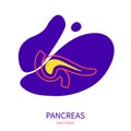 Pancreas endocrine and digestive systems organ outline icon