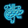 pancreas endocrinology neon glow icon illustration Royalty Free Stock Photo