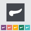 Pancreas flat icon.