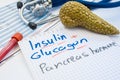 Pancreas gland hormones insulin and glucagon concept photo. Notepad inscribed with insulin and glucagon is near figures of pancrea Royalty Free Stock Photo