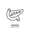 Pancreas line icon. Human internal organ. Editable stroke. Vector illustration