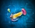 Pancreas scientific background