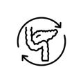 Pancreas transplant line icon. Isolated vector element.