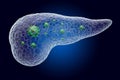 Pancreas with virus, ghost light effect, x-ray hologram. 3D rendering Royalty Free Stock Photo