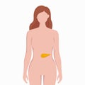 Pancreas on woman body silhouette vector medical illustration isolated on white background. Human inner organ placed in