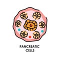 Pancreatic cell color line icon. Microorganisms microbes, bacteria.