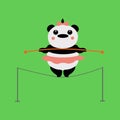 Panda acrobat