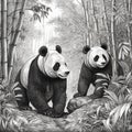 Panda, Ailuropoda melanoleuca, Chinese bamboo bear, cute animal, black and white drawing, portrait,
