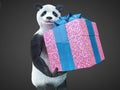 Panda animail character gift box surprise holidays standing on dark background isolated download buy picture