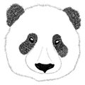 Panda animal cute face. Asian panda bear head portrait. Realistic fur portrait funny black and white panda animal Royalty Free Stock Photo