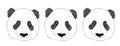 Panda animal cute face. Asian panda bear head portrait. Realistic fur portrait funny black and white panda animal Royalty Free Stock Photo