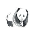 Panda animal. Watercolor hand drawn illustration.