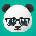 Panda avatar wearing glasses