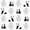 Panda and bamboo seamless pattern with. Hand draw vector illustration