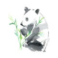Panda and bamboo. Watercolor hand drawn illustration.