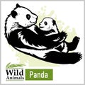 Panda bear with a baby in monochrome style on white Royalty Free Stock Photo