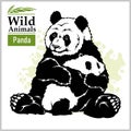 Panda bear with a baby in monochrome style on white Royalty Free Stock Photo