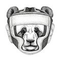 Panda bear, bamboo bear Wild boxer Boxing animal Sport fitness illutration Wild animal wearing boxer helmet Boxing