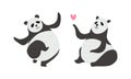 Panda Bear with Black-and-white Coat and Rotund Body Dancing and Sending Heart Vector Set