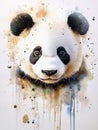 A panda bear with a black and white face is painted on a white background Royalty Free Stock Photo