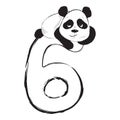 Panda bear cute animal number six with cartoon baby illustration Royalty Free Stock Photo