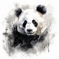 Expressive Panda Bear Portrait In Realistic Brushwork