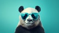 Vibrant Solarized Panda Bear Portrait On Turquoise Background