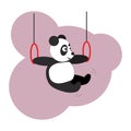 Panda does gymnastics on the rings