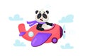 Panda bear pilot is flying on plane through the clouds.