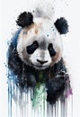 Panda bear portrait watercolor drawing, cute animal Royalty Free Stock Photo