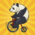 panda bear on bicycle comic book pop art vector Royalty Free Stock Photo