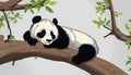 A panda bear is sitting on a tree branch Royalty Free Stock Photo