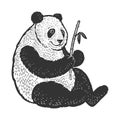 Panda bear sketch vector illustration