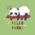 Panda bear sleeping on tree branch banner vector illustration. Asian rainforest adorable animal resting. Wild cute baby Royalty Free Stock Photo