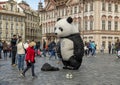 Panda Bear street performer, Old Town Square, Prague, Capital of the Czech Republic Royalty Free Stock Photo